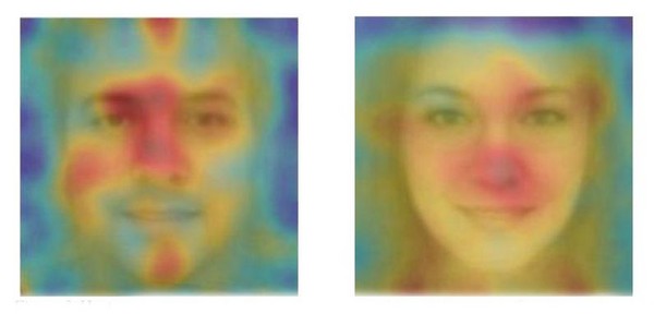 圖中以溫度顯示臉部各部分遮住時，AI分辨判斷的分類結果改變的程度。越接近紅色，代表越有可能影響AI判斷性取向的部位。（截自Stanford網站）