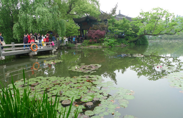 ▲金鳳凰漫遊江南。（圖／鳳凰旅行社提供）