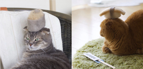掉落貓毛做蝦子,蘇格蘭摺耳白貓披上秒變「喵壽司」。（圖／翻攝自Instagram@rojiman。）