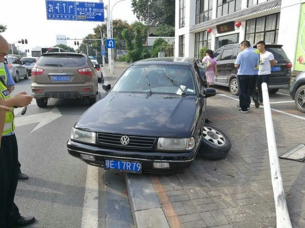 ▲▼火鍋店老闆持十字弓射殺8條土狗。（圖／翻攝自楚天都市報）