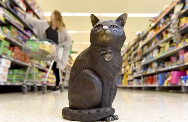 「超市貓」離世，粉絲募得16萬替牠做銅像（圖／翻攝自Boredpanda）