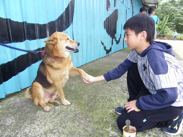 ▲▼小朋友在動保小小兵體驗營，可以學習和動物培養感情的小技巧。（圖／動保處提供）