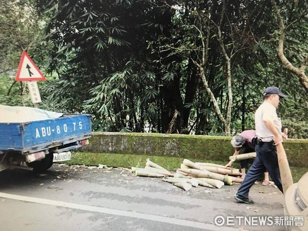 ▲貪夫妻開心偷挖22根麻竹筍　員警經過1根都帶不走。（圖／記者謝侑霖攝）