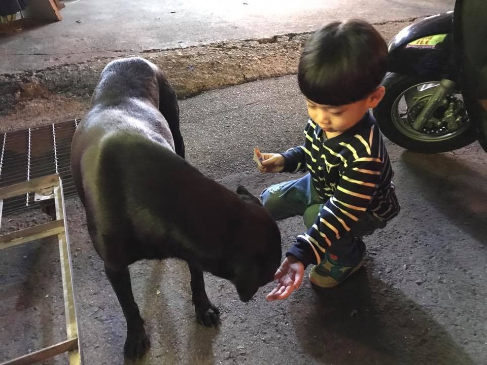 3歲弟突然「肚子餓想吃麵包」　一走出超商...蹲地餵浪浪（圖／網友鍾明真授權提供）