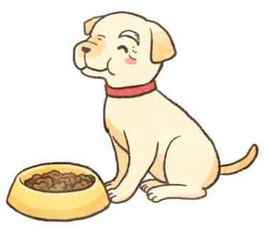 高齡犬的鮮食烹調 3 指南（圖／毛起來 MaoUp）