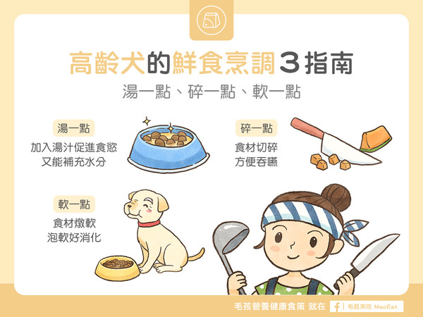 高齡犬的鮮食烹調 3 指南（圖／毛起來 MaoUp）