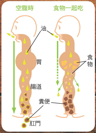 ▲椰子油,亞麻仁油,橄欖油,核桃油,酪梨油。（圖／蘋果屋提供）