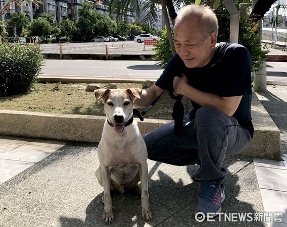 ▲台南市議員曾順良表示，流浪犬來福有嚴重心絲蟲病，需要善心人士協助重生。（圖／曾順良提供）