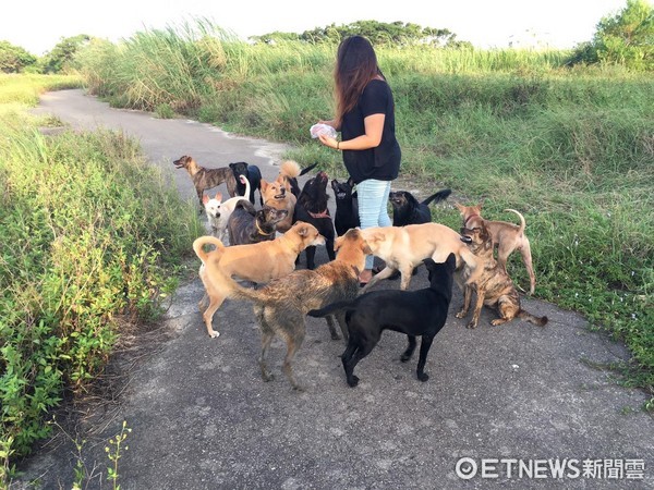 狗狗太愛主人了，直接破門而出！（圖／網友許慧儒提供，請勿隨意翻拍，以免侵權。）