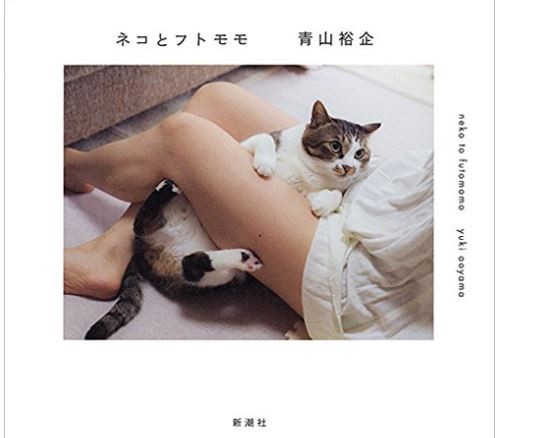 日本攝影師青山裕企新作品，結合奶與貓超療癒。（圖／翻攝自Amazon.co.jp）