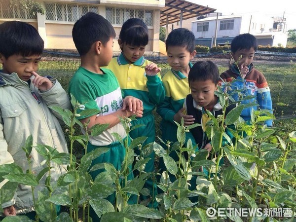 ▲響應提升台灣糧食自給率教育紮根，桃園市開辦「咱糧學堂」。（圖／桃園市教師會提供）