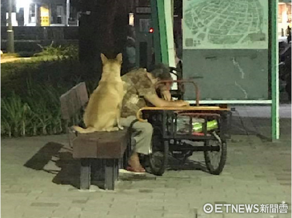 阿嬤走累路邊扶額休息，忠犬「阿都」緊靠一旁，全程不離不棄守候。（圖／網友項秀蘭授權。）