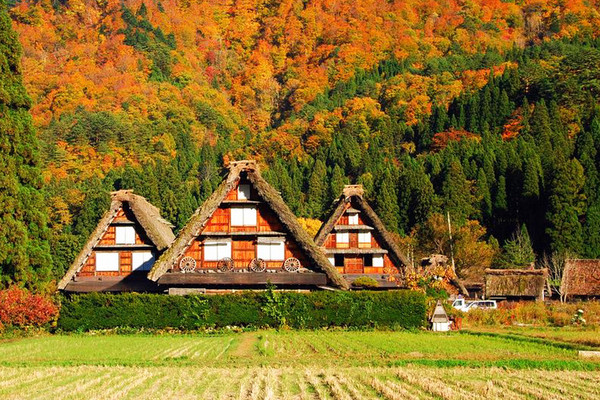 ▲不一樣的楓紅立山、黑部峽谷、上高地、合掌村。（圖／翔笙旅遊）