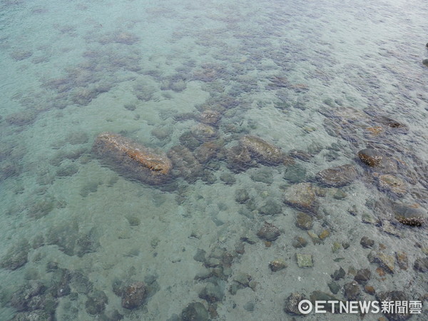 ▲高知柏島。（圖／記者彭懷玉攝）