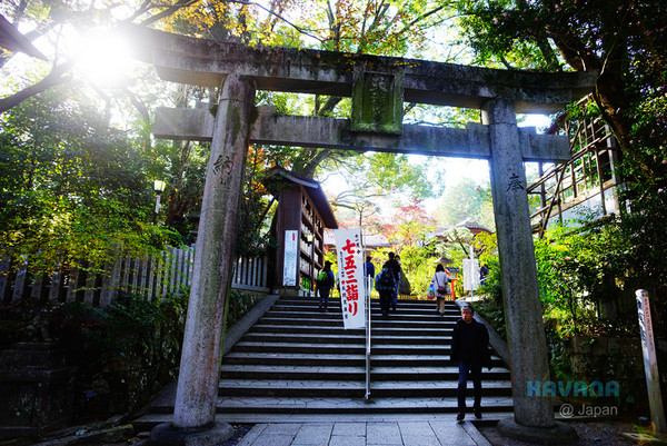 ▲日本長岡天滿宮賞楓。（圖／卡瓦納提供）