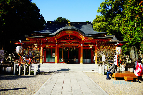 ▲日本長岡天滿宮賞楓。（圖／卡瓦納提供）