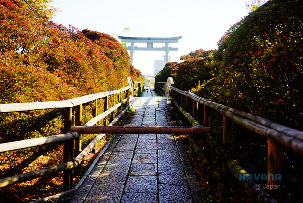 ▲日本長岡天滿宮賞楓。（圖／卡瓦納提供）