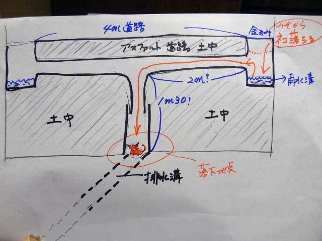 ▲▼自製吊籠就出受困貓咪。（圖／翻攝自日網，nlab）