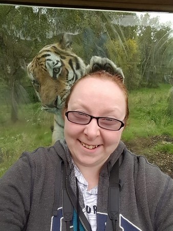 ▲▼英國婦女朵娜（Donna Martin）逛動物園與東北虎自拍。（圖／翻攝自Highland Wildlife Park, Kincraig粉絲專頁）