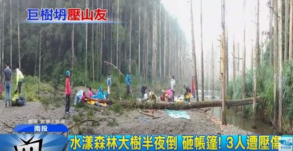 ▲▼水漾森林枯木倒榻砸帳篷，3女遭壓傷頭破血流。（圖／中天新聞）