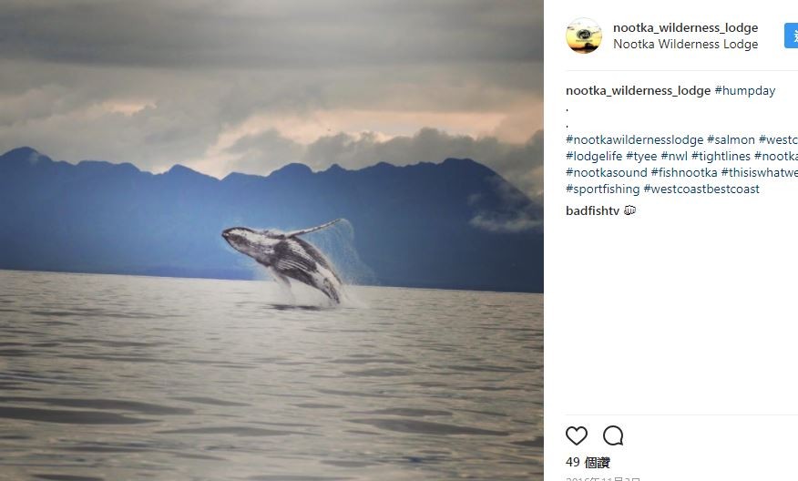 鯨魚躍出海面，男童燦笑喜獲合照。（圖／翻攝自Instagram帳號nootka_wilderness_lodge）