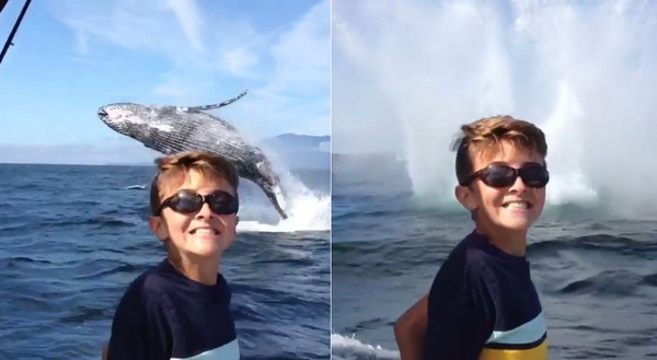鯨魚躍出海面，男童燦笑喜獲合照。（圖／翻攝自Instagram帳號nootka_wilderness_lodge）