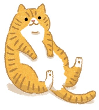 呼吸也會胖？天生易發胖的貓咪！（圖／毛起來 MaoUp）