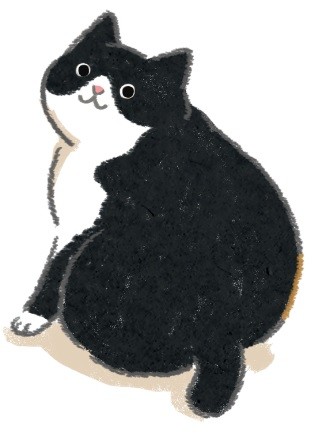 呼吸也會胖？天生易發胖的貓咪！（圖／毛起來 MaoUp）