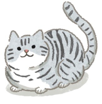 呼吸也會胖？天生易發胖的貓咪！（圖／毛起來 MaoUp）