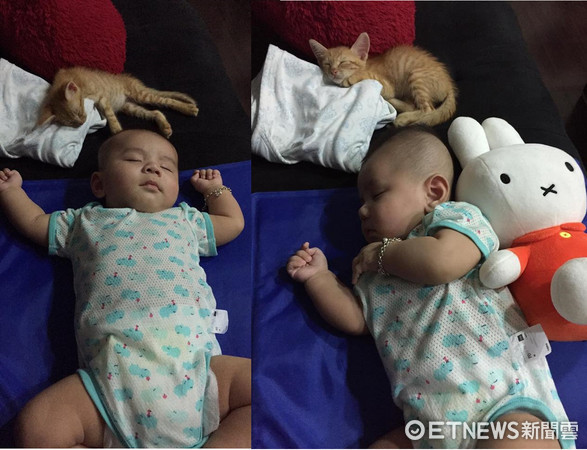 小貓「吐司」倒寶寶「漢堡寶」身旁跟著睡，相似睡姿網笑：一家人無誤！（圖／網友Misia Chen授權。）