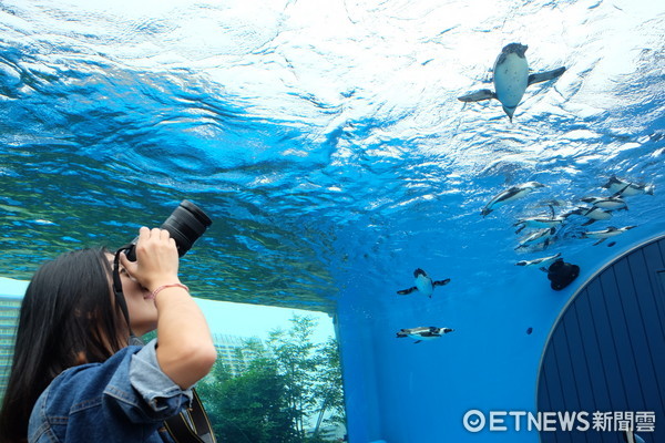 ▲池袋陽光水族館。（圖／記者于佳云攝）