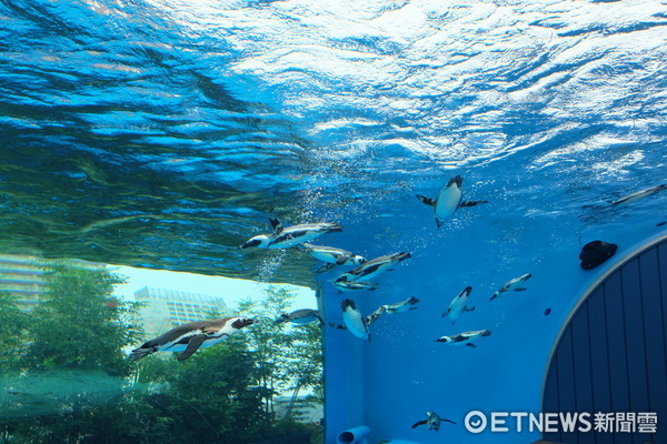 ▲池袋陽光水族館。（圖／記者于佳云攝）