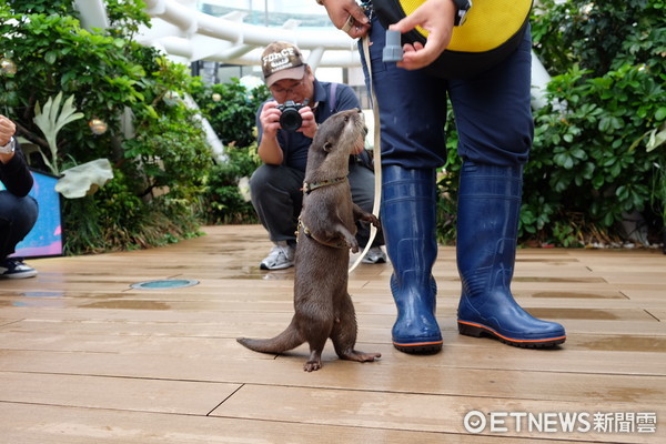 ▲池袋陽光水族館。（圖／記者于佳云攝）