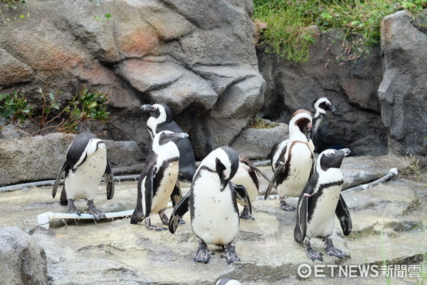 ▲池袋陽光水族館。（圖／記者于佳云攝）