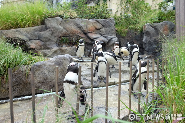 ▲池袋陽光水族館。（圖／記者于佳云攝）