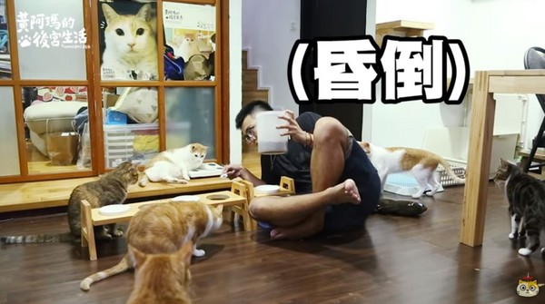 奴才壞了～餵飯突然「時間暫停」（圖／翻攝自黃阿瑪的後宮生活／YouTube）