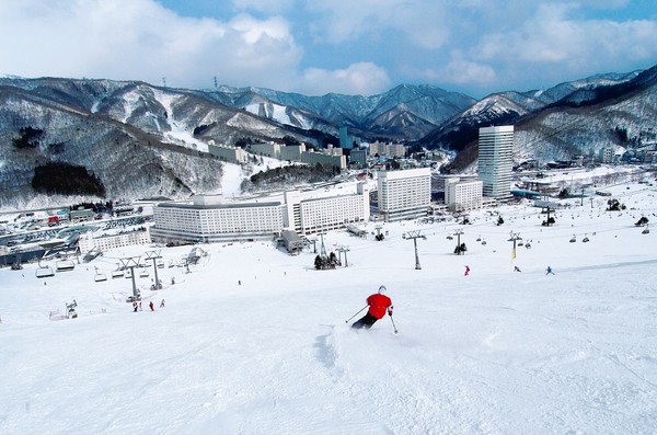 ▲雪友們別錯過！日本冬季戀雪開跑。（圖／燦星旅遊提供）