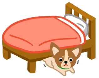 狗狗無精打采？當心！這可能是憂鬱症的徵兆！（圖／毛起來 MaoUp）