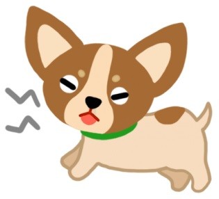 狗狗無精打采？當心！這可能是憂鬱症的徵兆！（圖／毛起來 MaoUp）