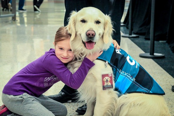 丹佛機場治療貓、治療犬。