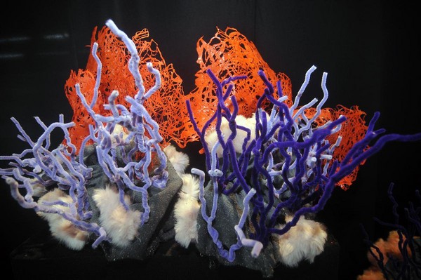 深白色的詩歌系列作品，讓觀眾先走入多采多姿的珊瑚礁世界，最後卻看到珊瑚礁顏色越變越單調，感受自然生命逐步走向凋零的景象。