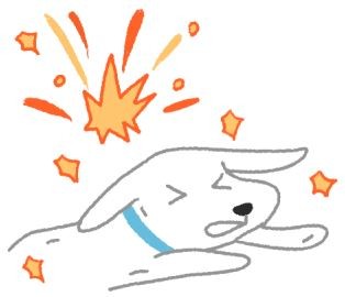 狗狗貓貓慶中秋，當心暗藏4危機！（圖／毛起來 MaoUp）