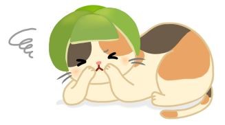 狗狗貓貓慶中秋，當心暗藏4危機！（圖／毛起來 MaoUp）