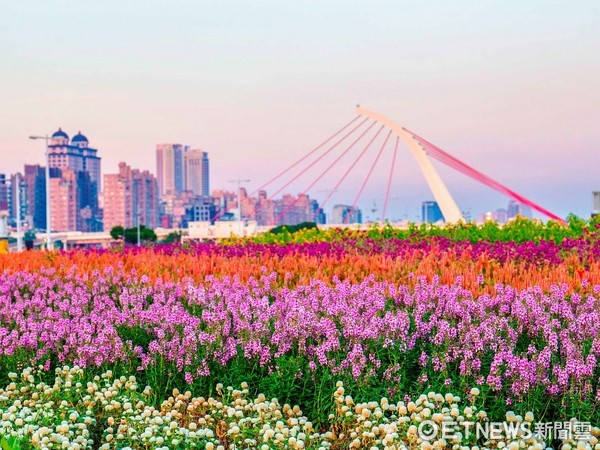 ▲▼台北大佳河濱花海。（圖／台北市水利處提供）