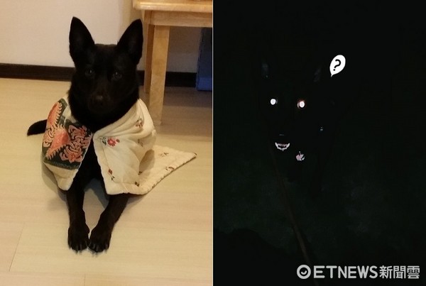 農曆7月都過了QQ 拍照只剩嘴巴眼睛　媽笑壞：黑狗的悲哀（圖／網友紋趙授權提供）