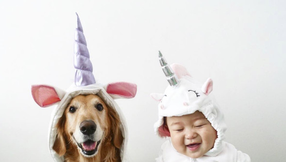 你要當哥哥了！阿金堅定眼神望媽咪。（圖／翻攝自IG@bradyandbaby）