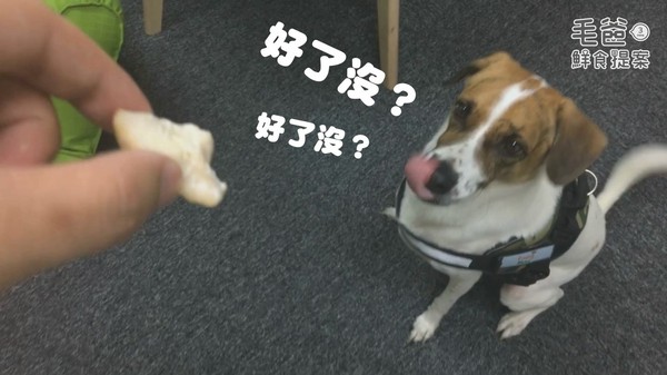 【毛爸鮮食提案】中秋節就是要烤肉！好秋三色雞肉串！（圖／毛起來 MaoUp）