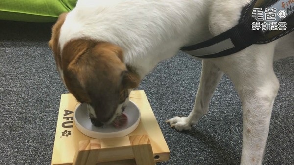 【毛爸鮮食提案】中秋節就是要烤肉！好秋三色雞肉串！（圖／毛起來 MaoUp）