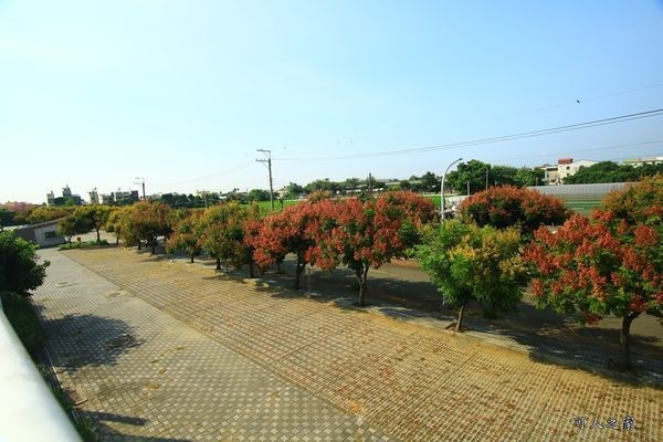 ▲嘉義新港藝術高中空中彩虹跑道。（圖／可人之家提供）