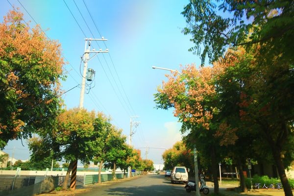 ▲嘉義新港藝術高中空中彩虹跑道。（圖／可人之家提供）